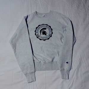 Michigan State Champion Crewneck